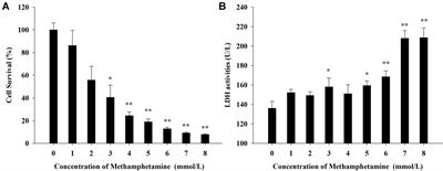 Tea Polyphenols Attenuate Methamphetamine-Induced Neuronal Damage in PC12 Cells by Alleviating Oxidative Stress and Promoting DNA Repair